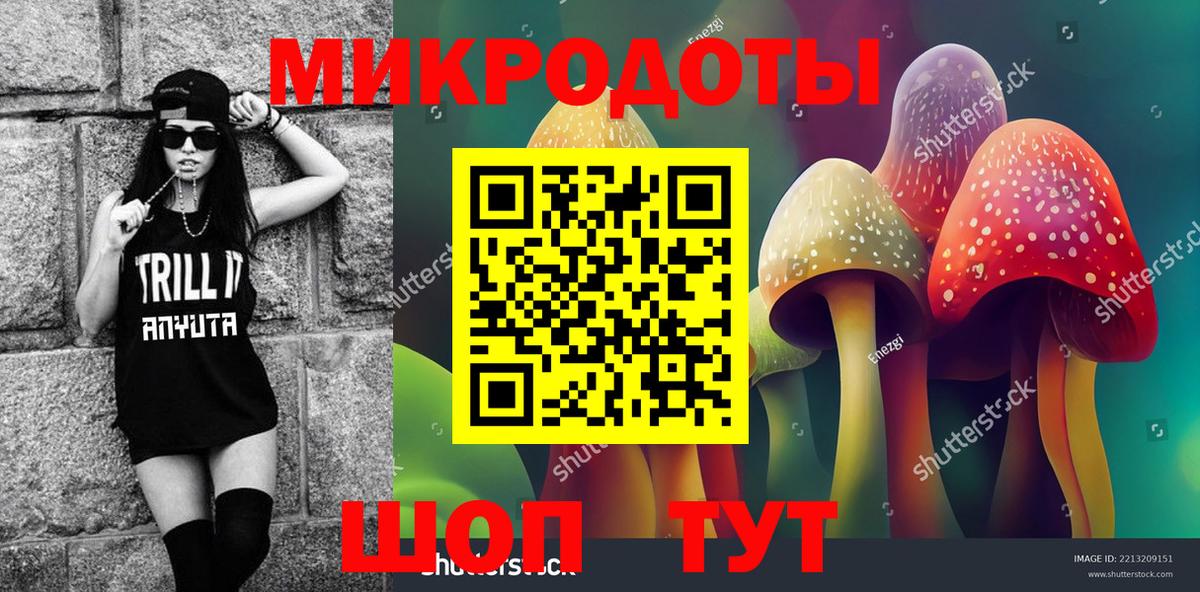 что такое наркотик  Псилоцибиновые грибы мицелий  Вход с VPN  Всеволожск 